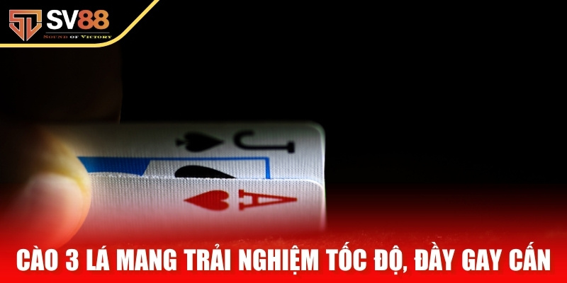 Cào 3 Lá mang đến trải nghiệm tốc độ, đầy gay cấn