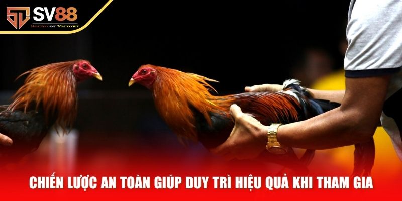 Chiến lược an toàn giúp duy trì hiệu quả khi tham gia