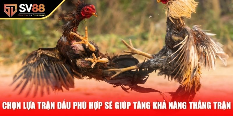 Chọn lựa trận đấu phù hợp sẽ giúp tăng khả năng thắng trận