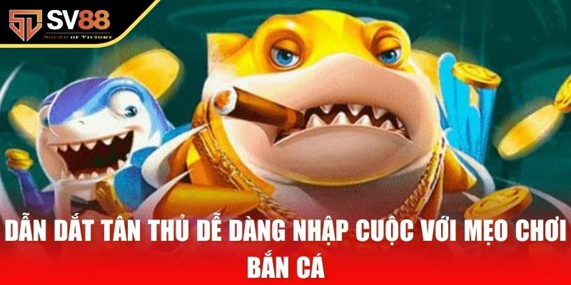 Dẫn dắt tân thủ dễ dàng nhập cuộc với mẹo chơi bắn cá