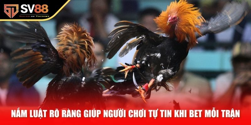 Nắm luật rõ ràng giúp người chơi tự tin khi bet mỗi trận