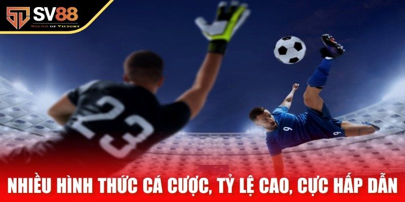 Nhiều hình thức cá cược, tỷ lệ cao, cực hấp dẫn